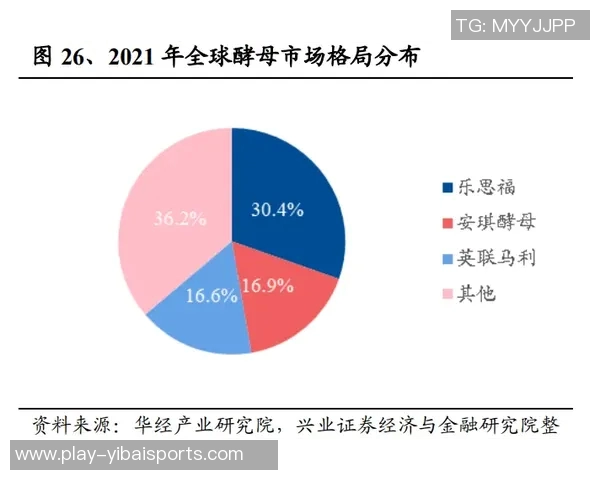 万达集团深耕足球产业的战略布局与未来发展展望